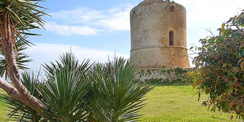 descrizione immagine